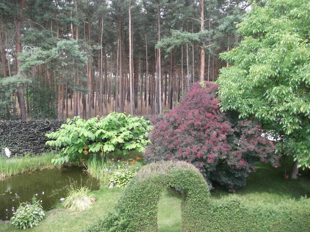 Amselgarten Lübben Buitenkant foto