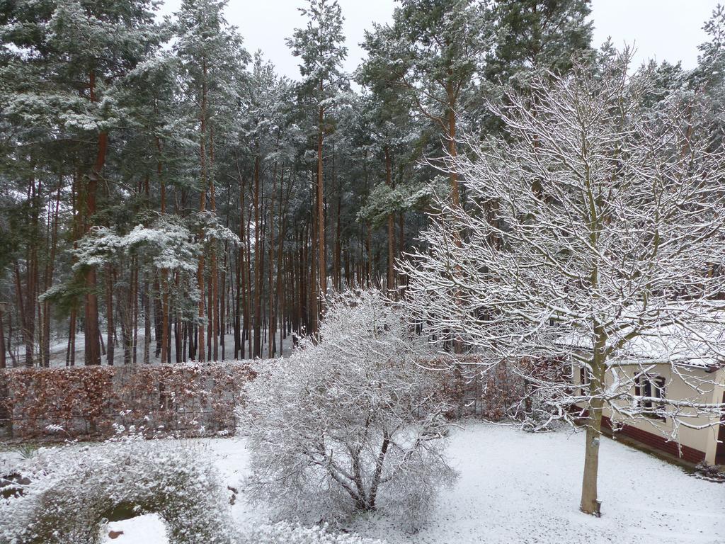 Amselgarten Lübben Buitenkant foto